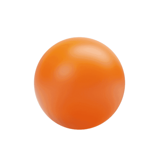 Maintenance & Support